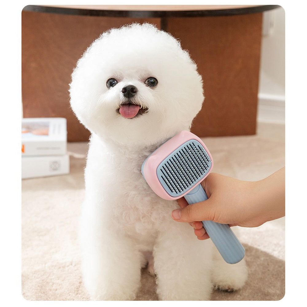 Gentle Grooming Brush – Great for All Hair Types