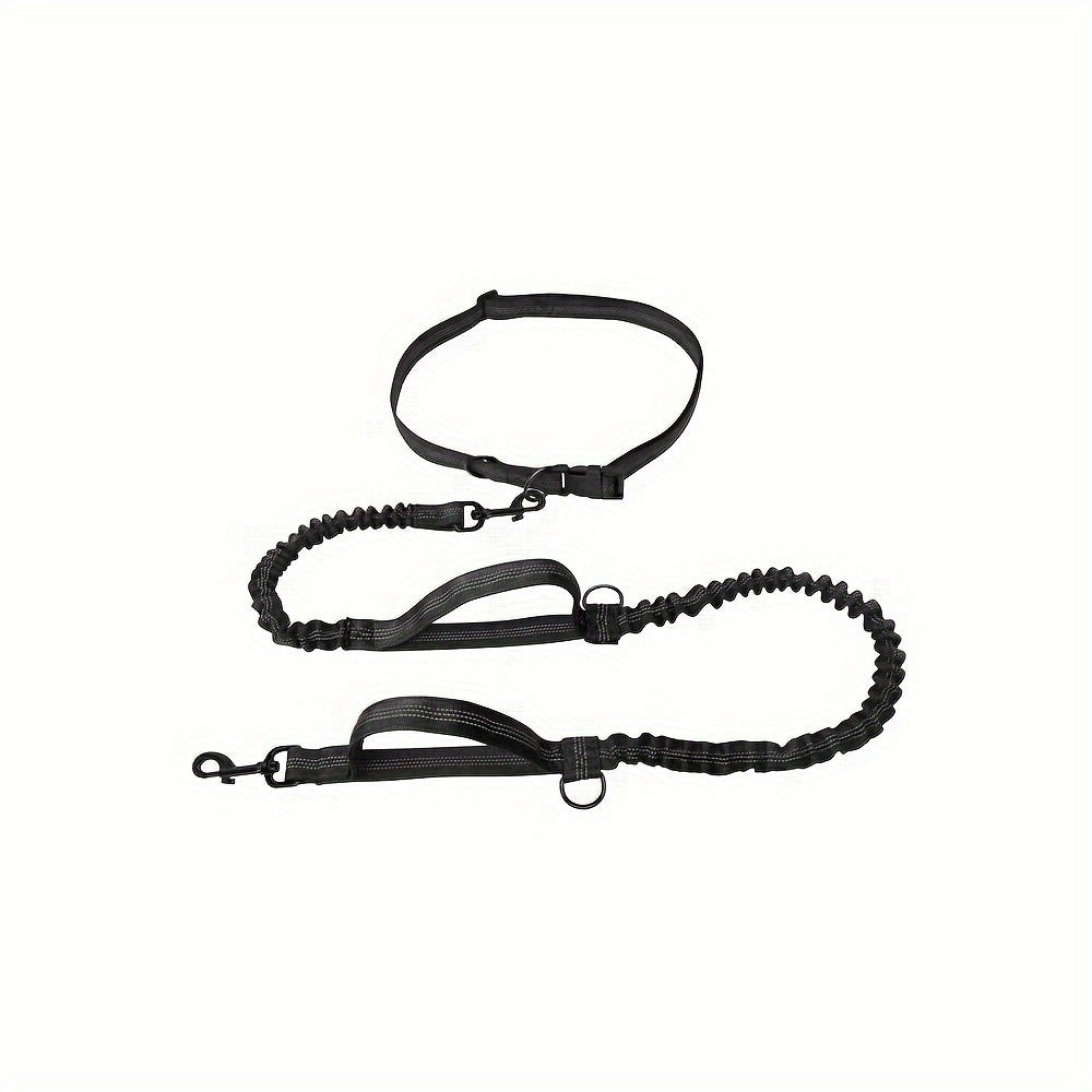 Active Pup Leash – Hands-Free Comfort for Every Run