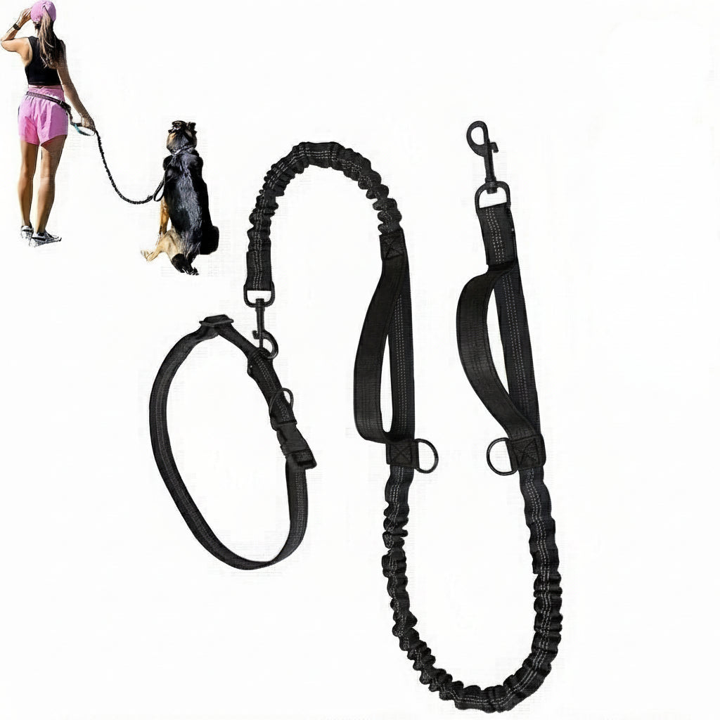 Active Pup Leash – Hands-Free Comfort for Every Run